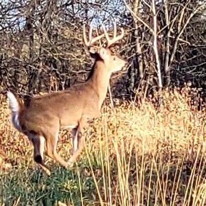 Meet your Posher, Jeff